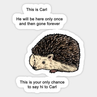 Carl The Hedgehog Meme Sticker